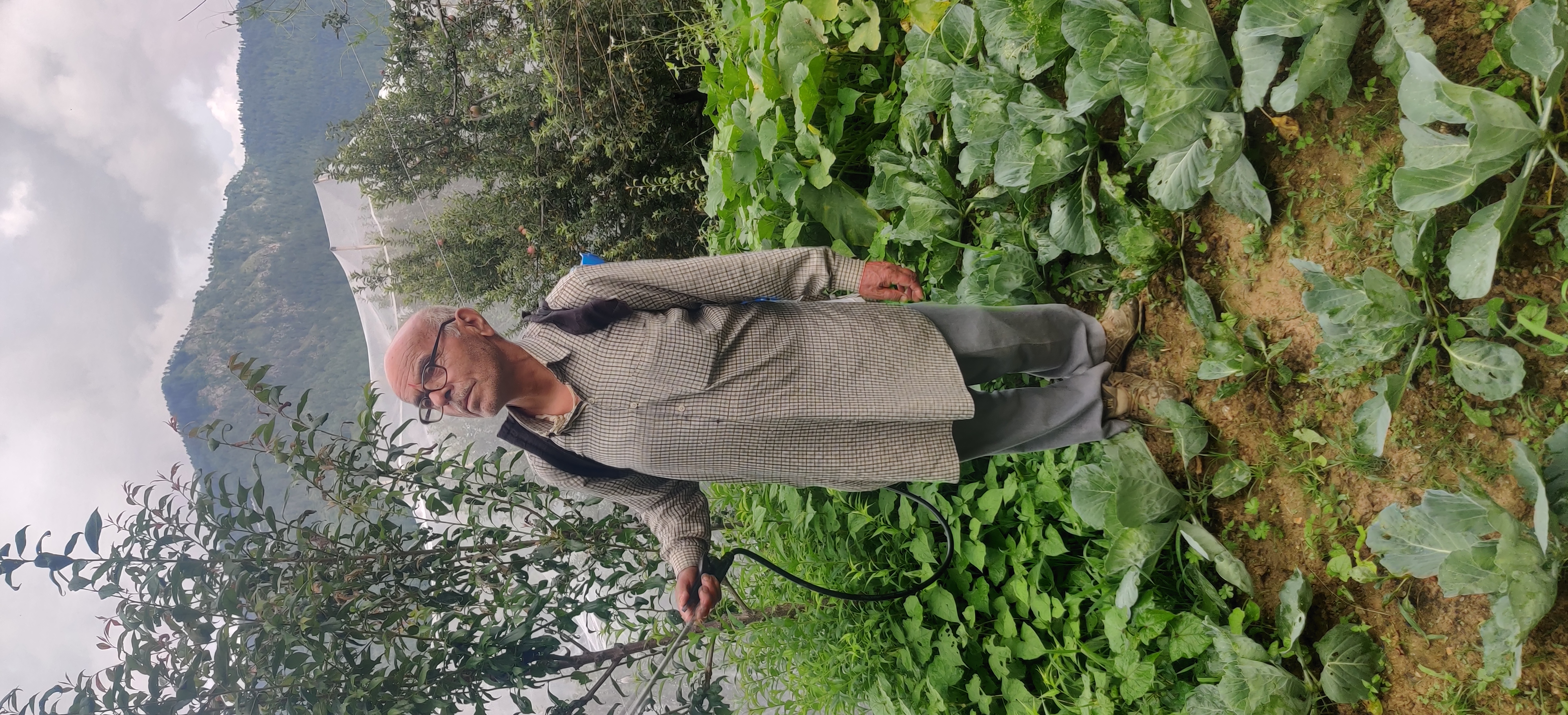 Dadu Image